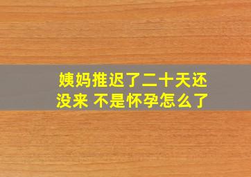 姨妈推迟了二十天还没来 不是怀孕怎么了